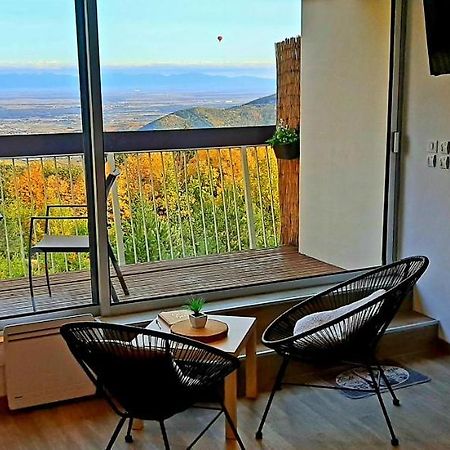 Studio Avec Sauna Au Calme A 15 Min De Colmar Trois-Épis Kültér fotó