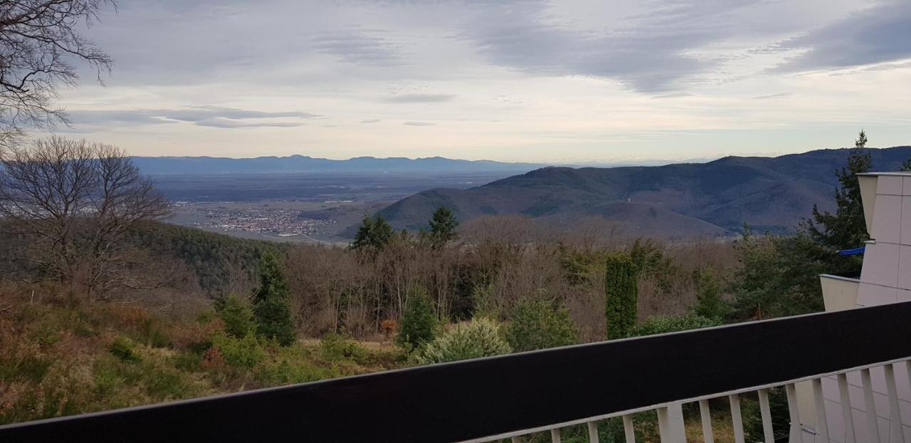 Studio Avec Sauna Au Calme A 15 Min De Colmar Trois-Épis Kültér fotó